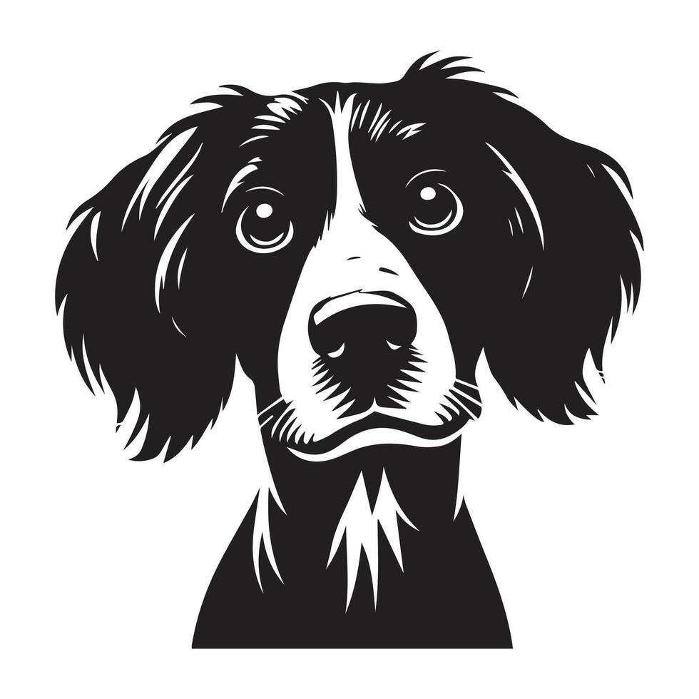 illustration of a Curious English Springer Spaniel dog face in black and white vector