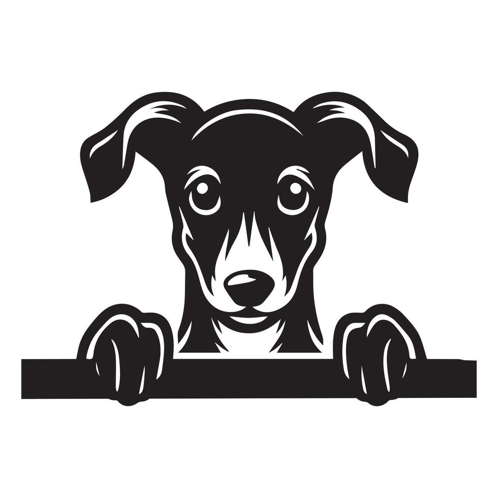 Dog Peeking - Greyhound Dog Peeking face illustration in black and white vector