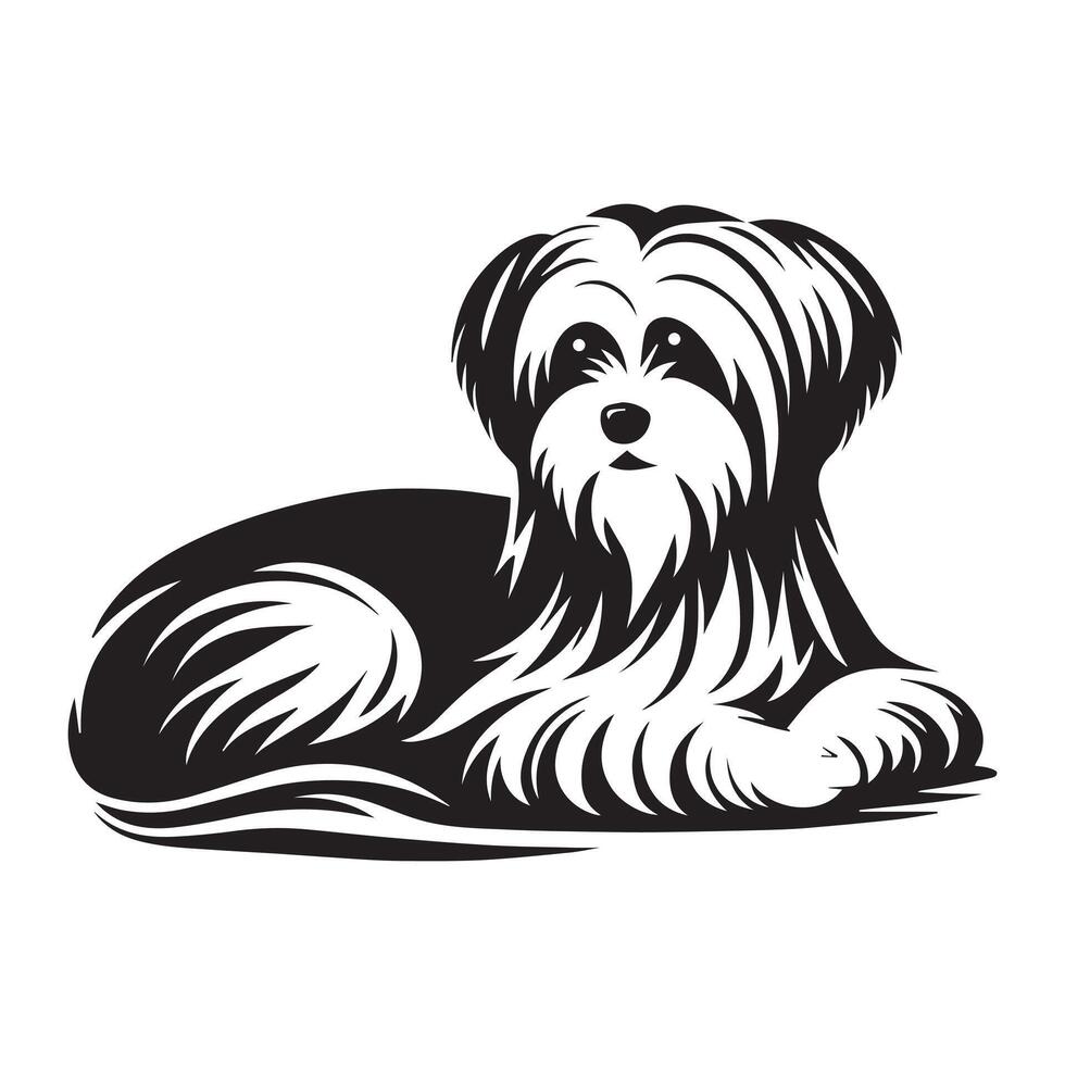 A Maltese Resting peacefully illustration in black and white vector