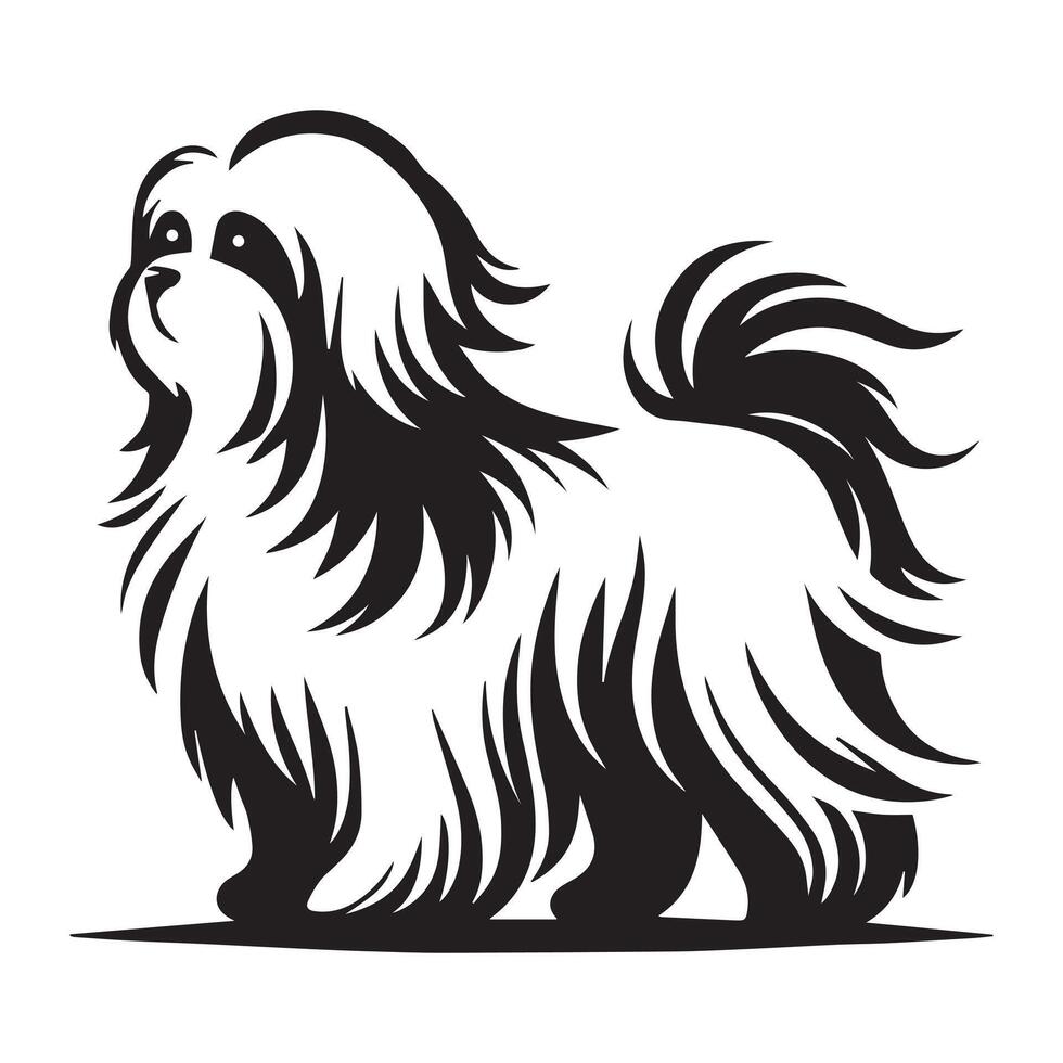Elegant Maltese with Flowing Hair illustration in black and white vector