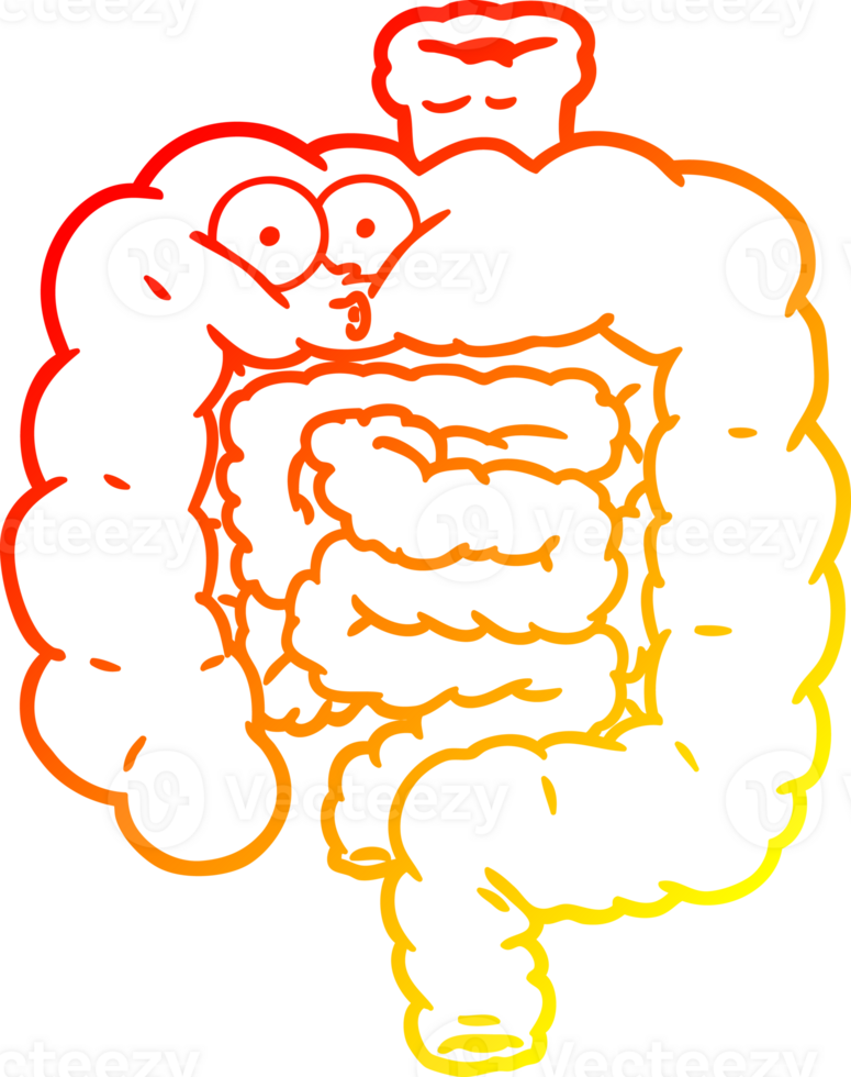 warm gradient line drawing of a cartoon surprised intestines png