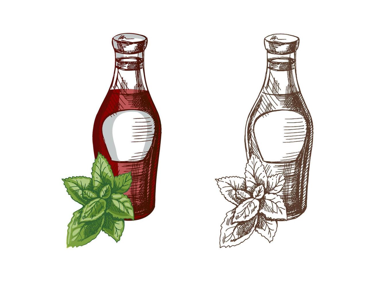 Hand-drawn colored and monochrome sketches of ketchup or sauce in a glass jar and a bunch of mint. For the design of the menu of restaurants and cafes, grilled food. vector