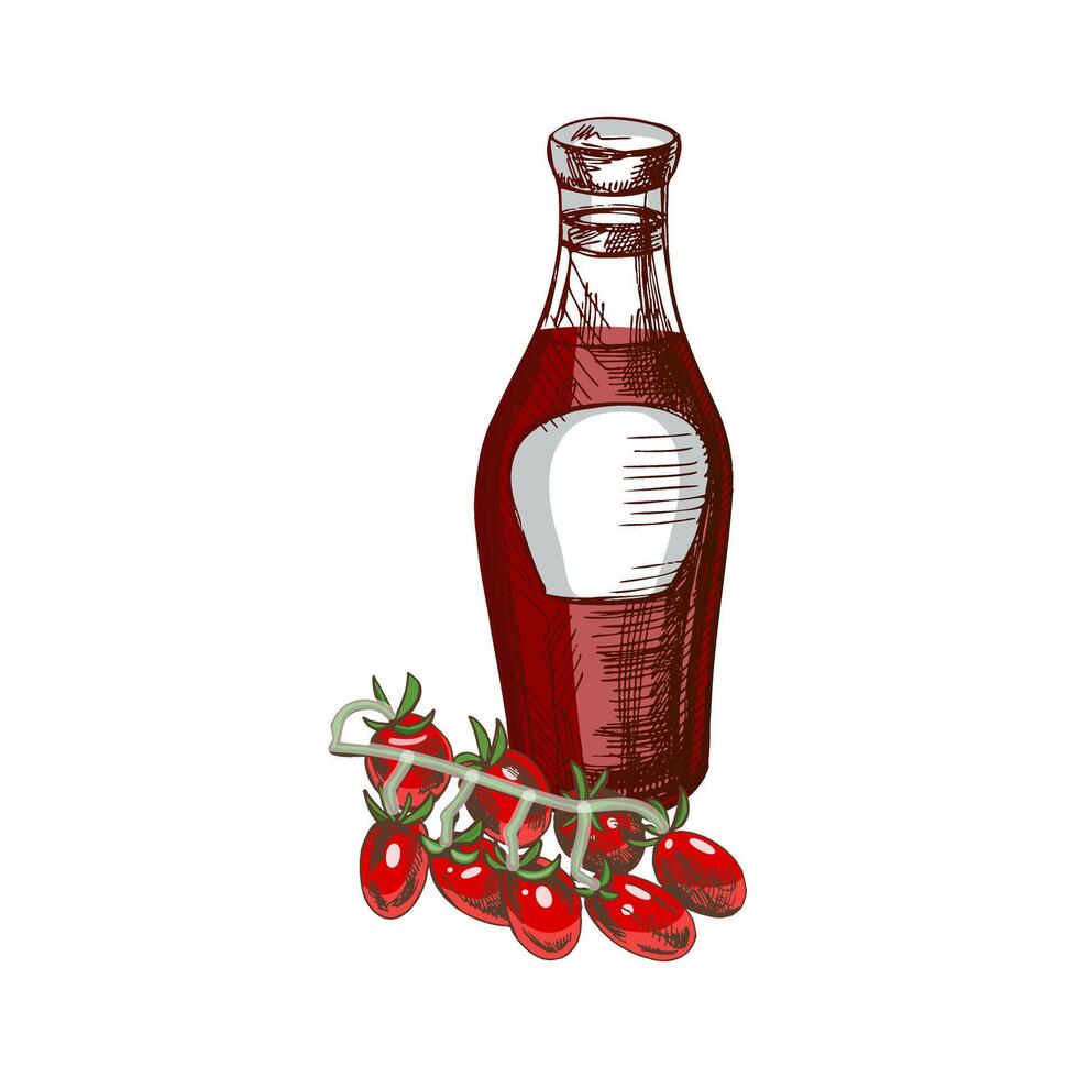 Hand-drawn colored sketch of ketchup or sauce in a glass jar and tomato branch. For the design of the menu of restaurants and cafes, grilled food. vector