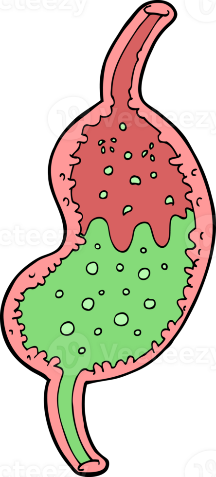 cartoon bubbling stomach png