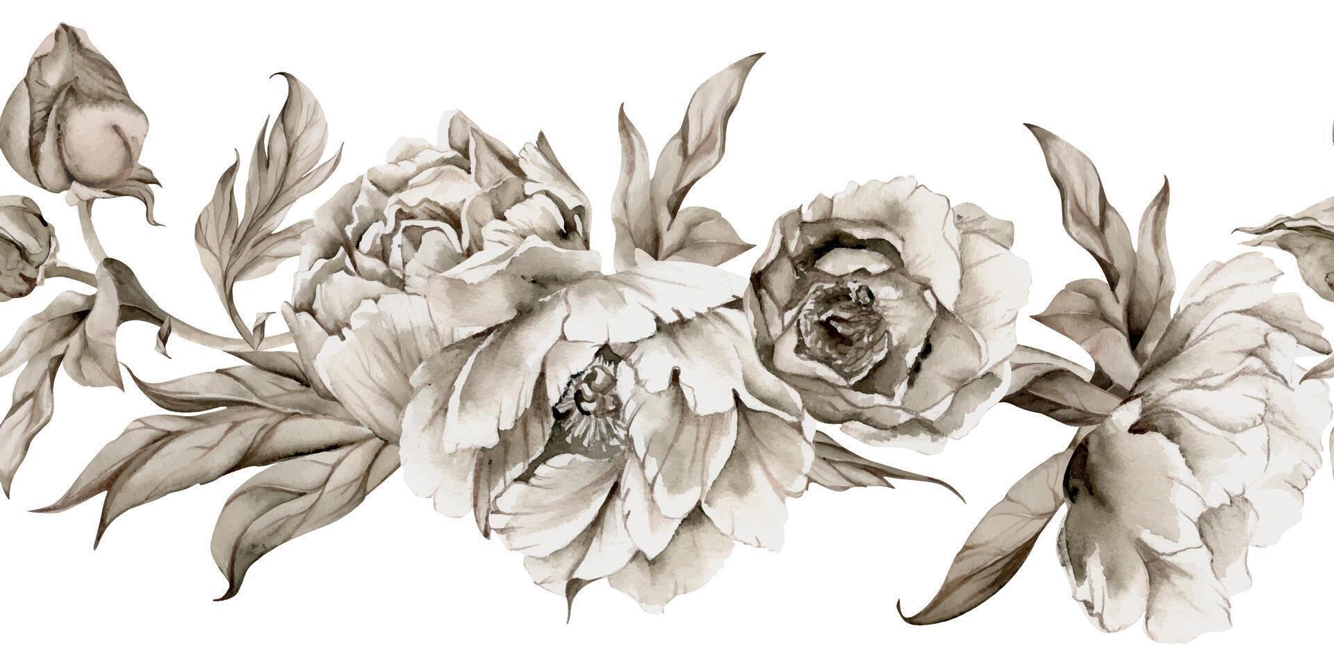 Hand drawn watercolor grisaille monochrome peony tulip ranunculus flowers, buds and leaves. Seamless banner isolated on white background. Invitations, wedding, wallpaper, floral shop, print, textile vector