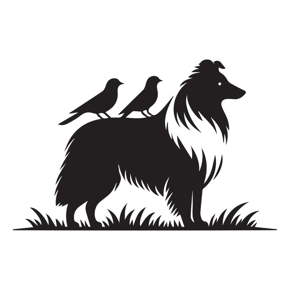 Shetland Sheepdog -A Sheltie two birds on the neck of a dog illustration in black and white vector