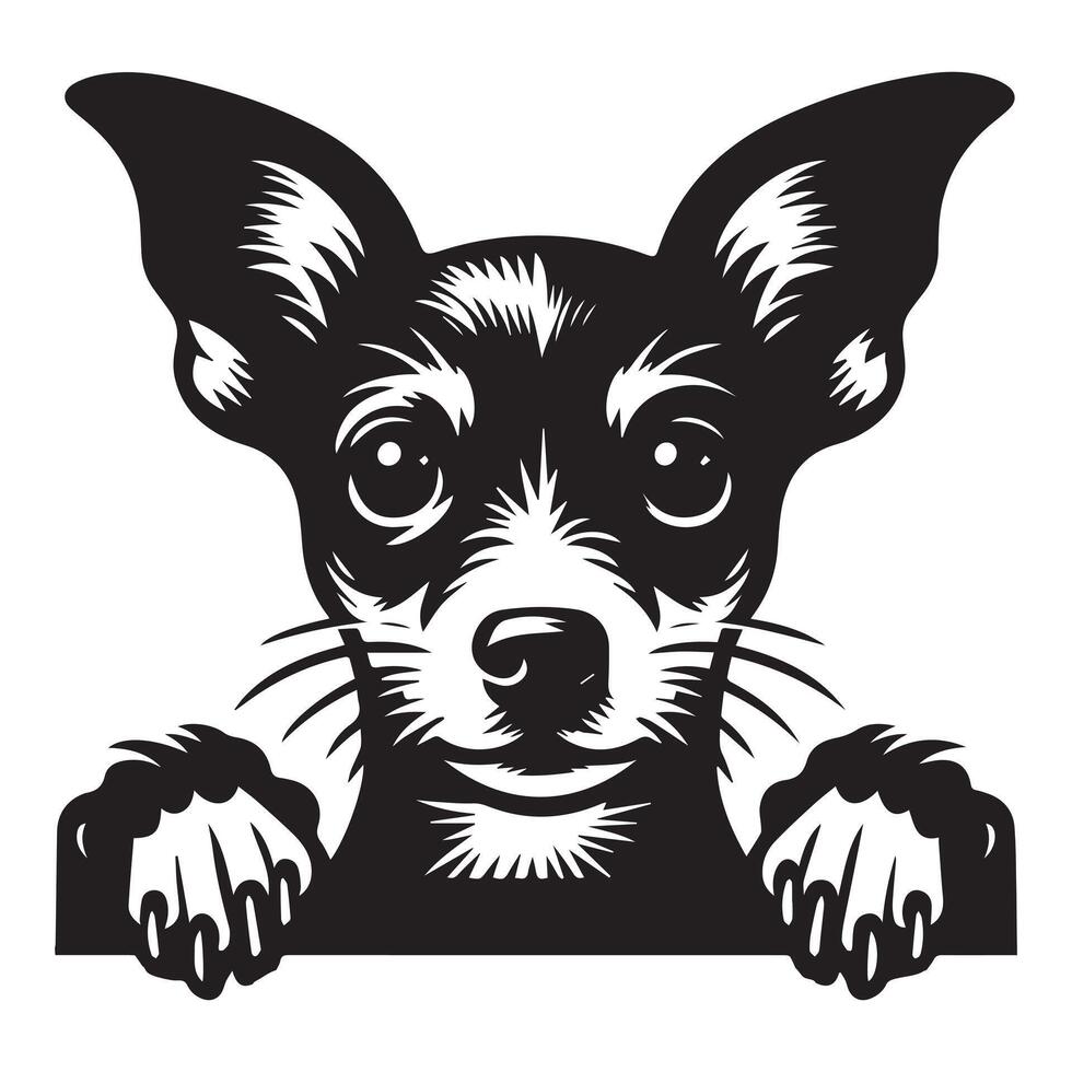 Dog Peeking - Rat Terrier Dog Peeking face illustration in black and white vector