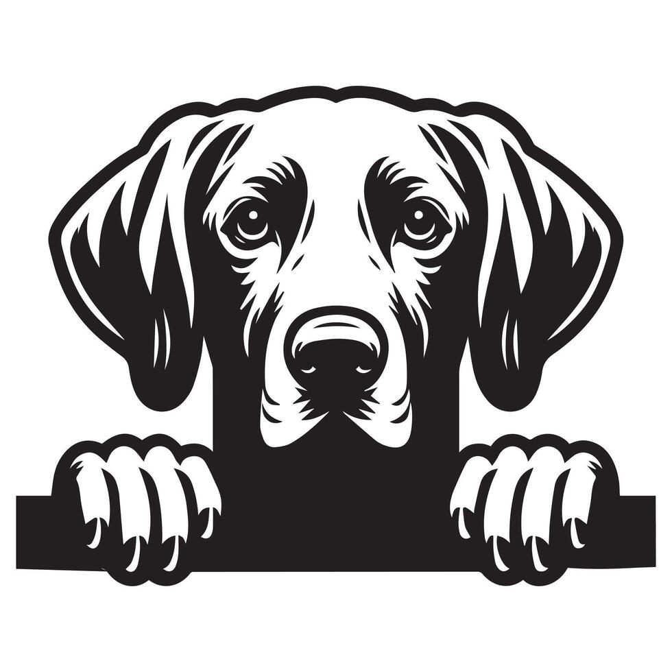 Dog Peeking - Weimaraner Dog Peeking face illustration in black and white vector
