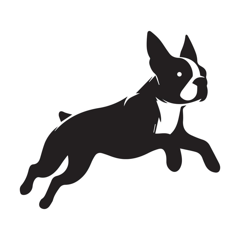 Boston Terrier - Boston Terrier dog Jumping illustration in Black and white vector