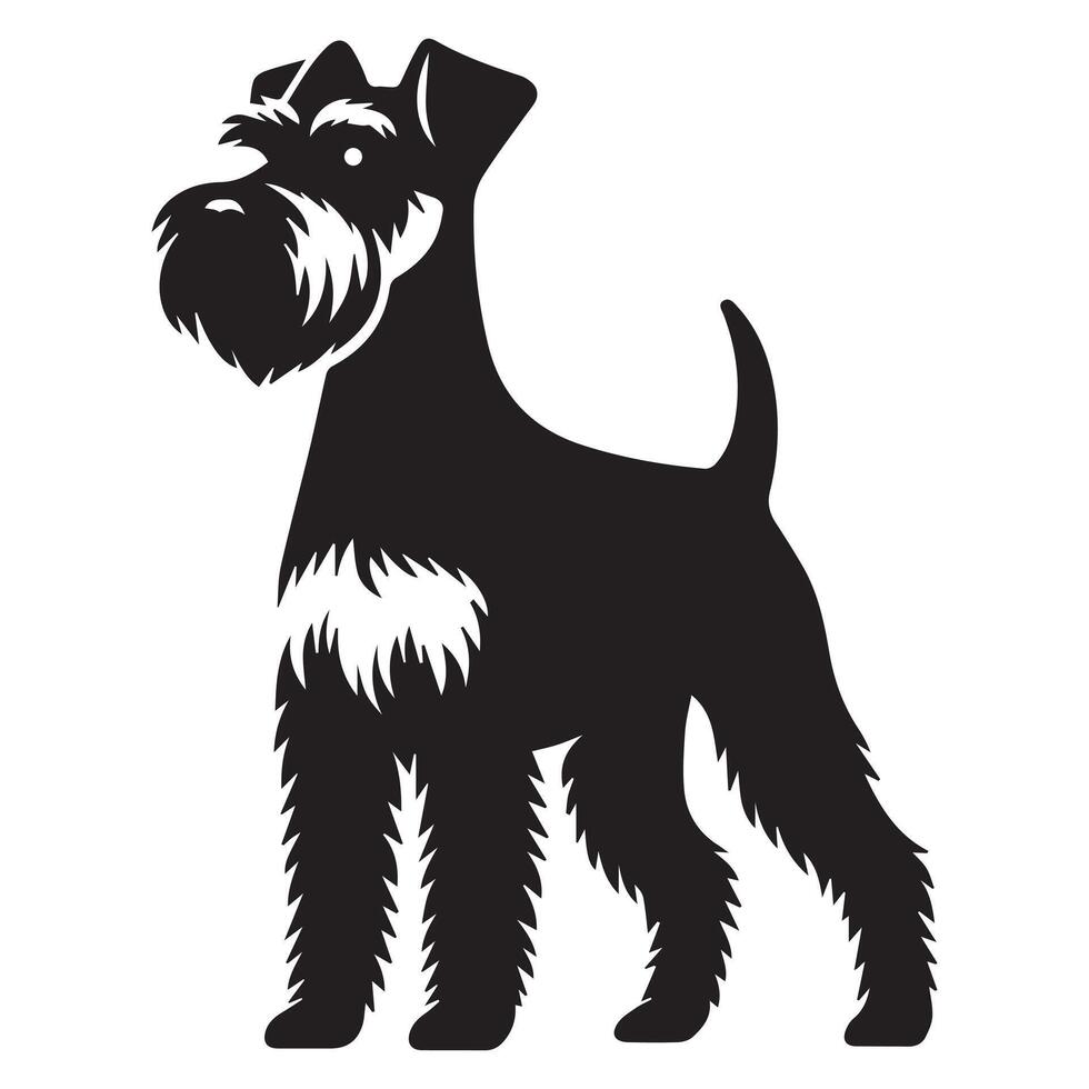 Miniature Schnauzer Standing and protective illustration in black and white vector