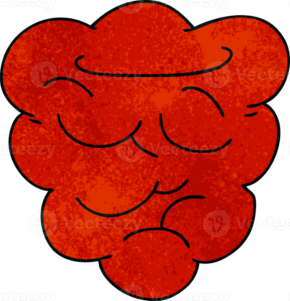 hand drawn quirky cartoon raspberry png
