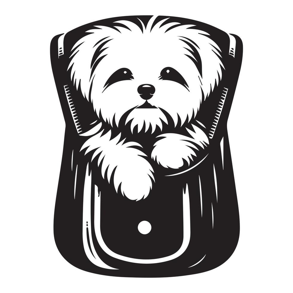 Maltese Peeking from a Cozy Bag illustration in black and white vector