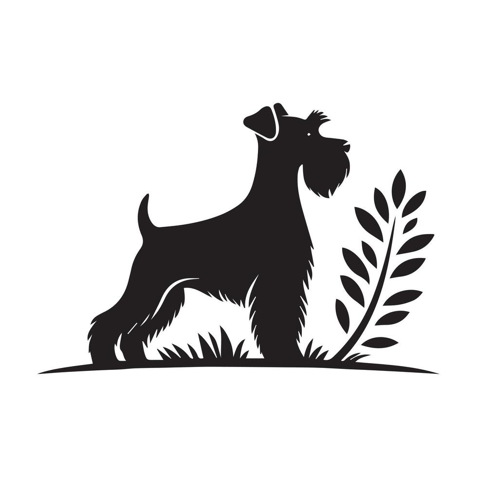 illustration of a Miniature Schnauzer Watching Over Garden in black and white vector