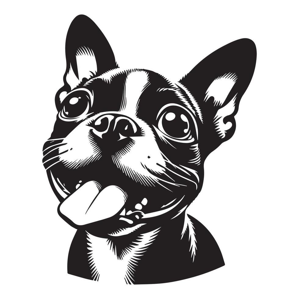 Dog Logo - A Playful Boston Terrier Dog face illustration in black and white vector