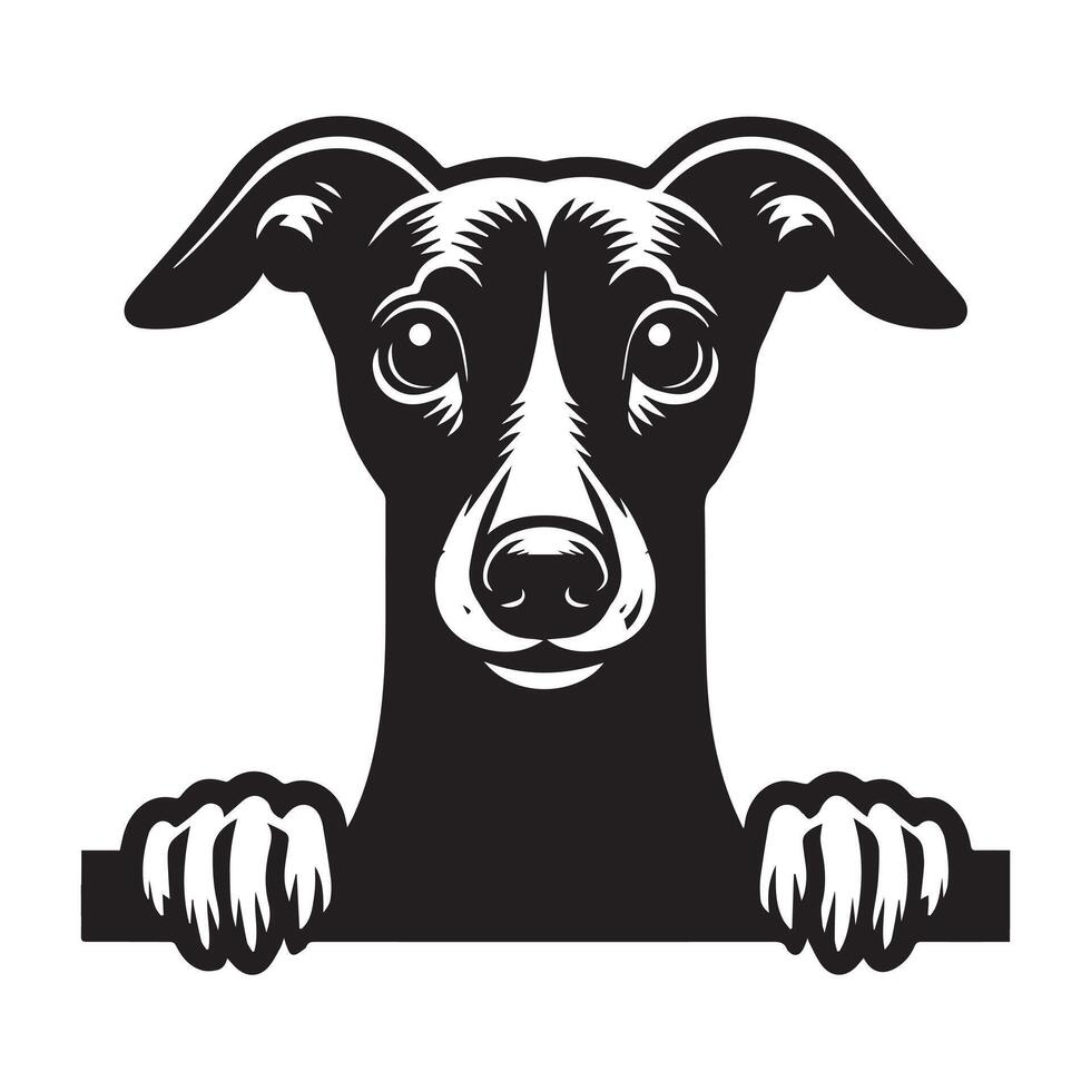 Dog Peeking - Whippet Dog Peeking face illustration in black and white vector