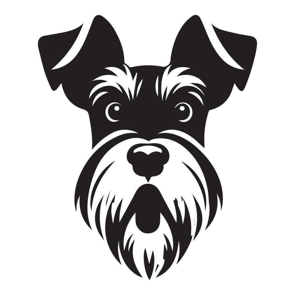 A Surprised Standard Schnauzer face illustration in black and white vector