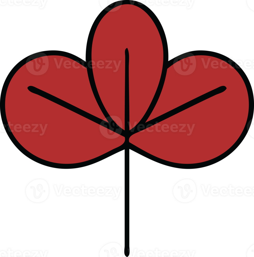 cute cartoon of a autumn leaf png