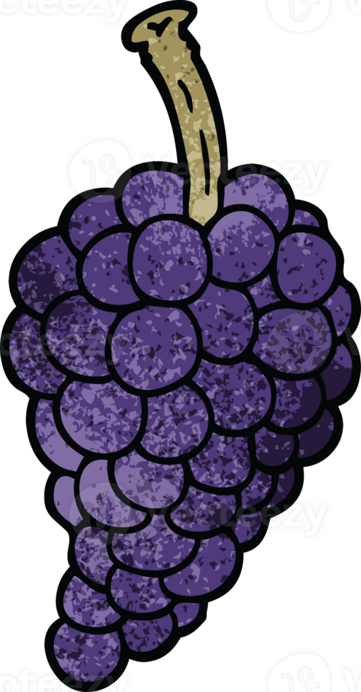 cartoon doodle bunch of grapes png