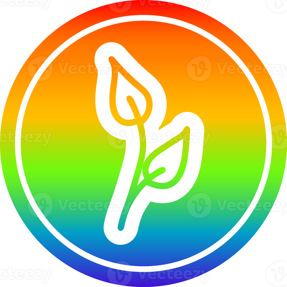 natural leaf circular icon with rainbow gradient finish png