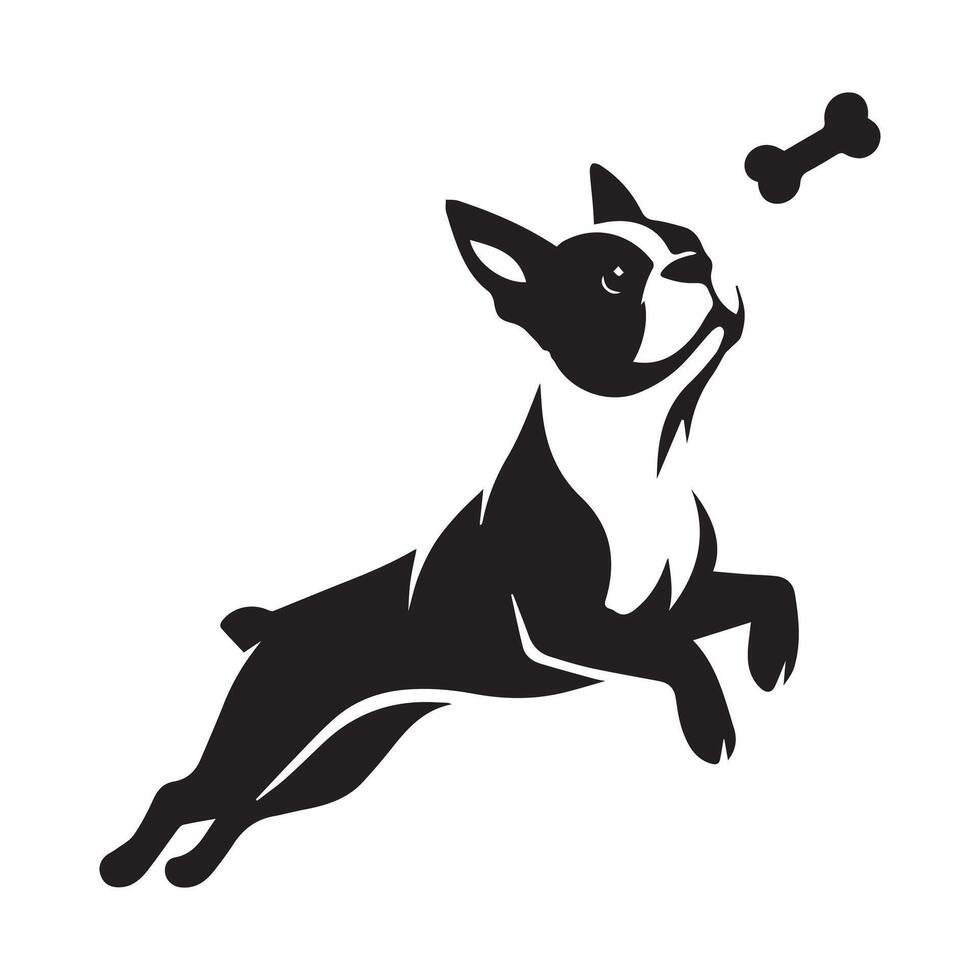 Boston Terrier - Boston Terrier dog playing with a bone illustration in Black and white vector