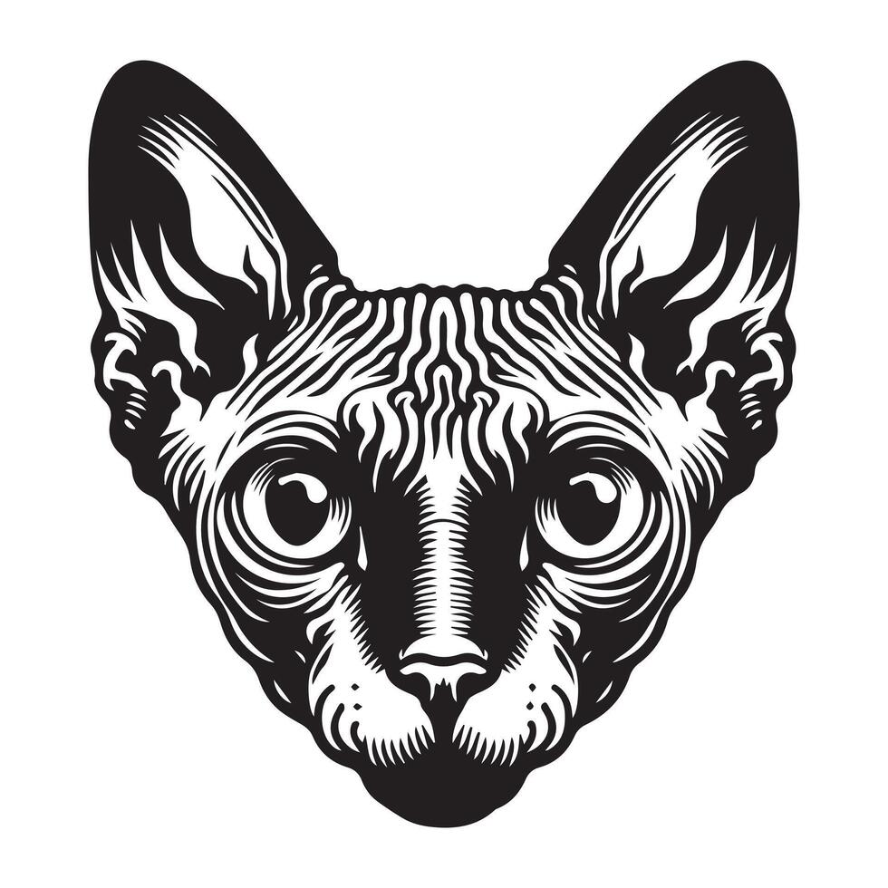 Cat - A Sphynx cat face illustration in black and white vector
