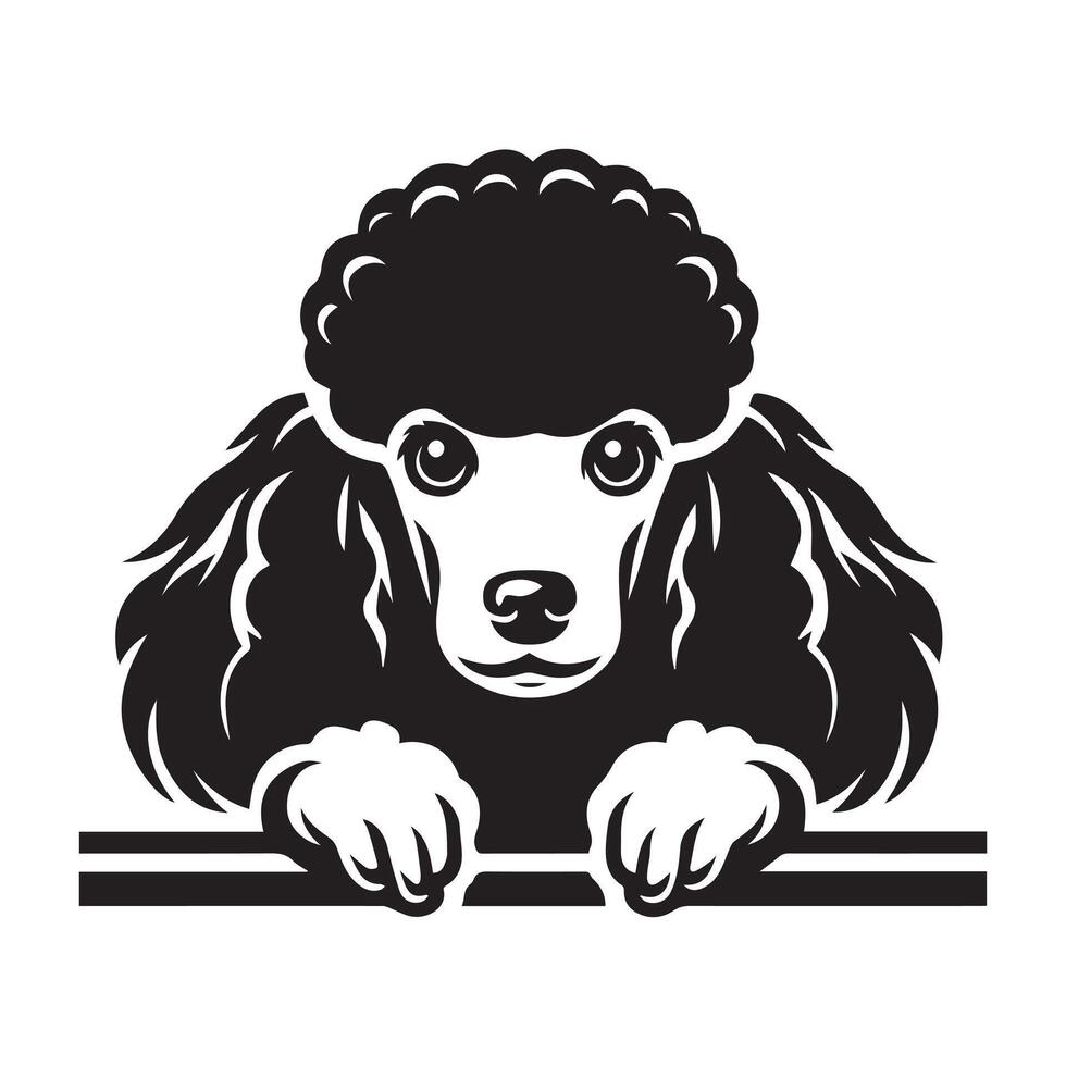 Dog Peeking - Poodle Dog Peeking face illustration in black and white vector