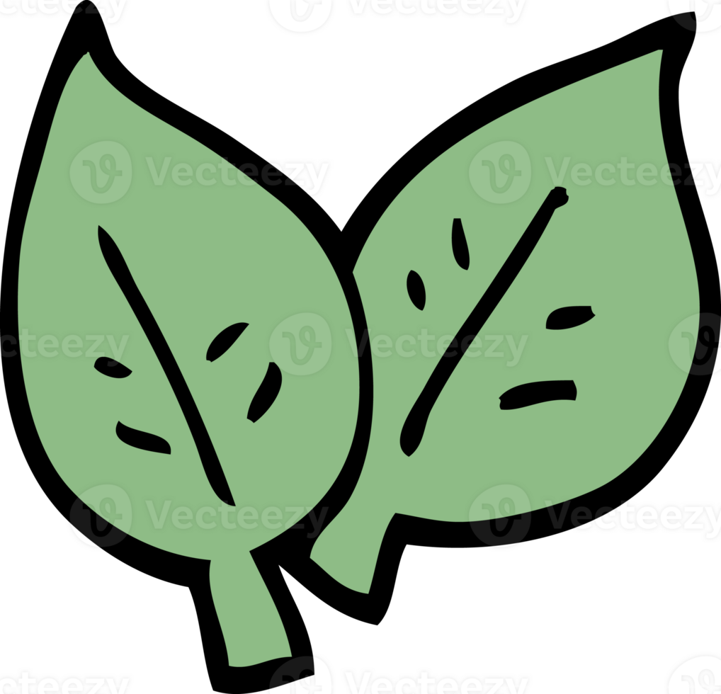 cartoon doodle of green leaves png