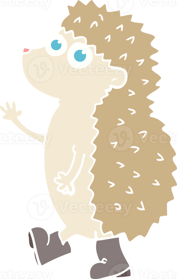 cute flat color illustration of hedgehog png