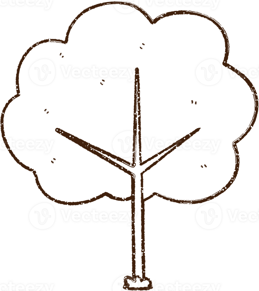 Tree Charcoal Drawing png