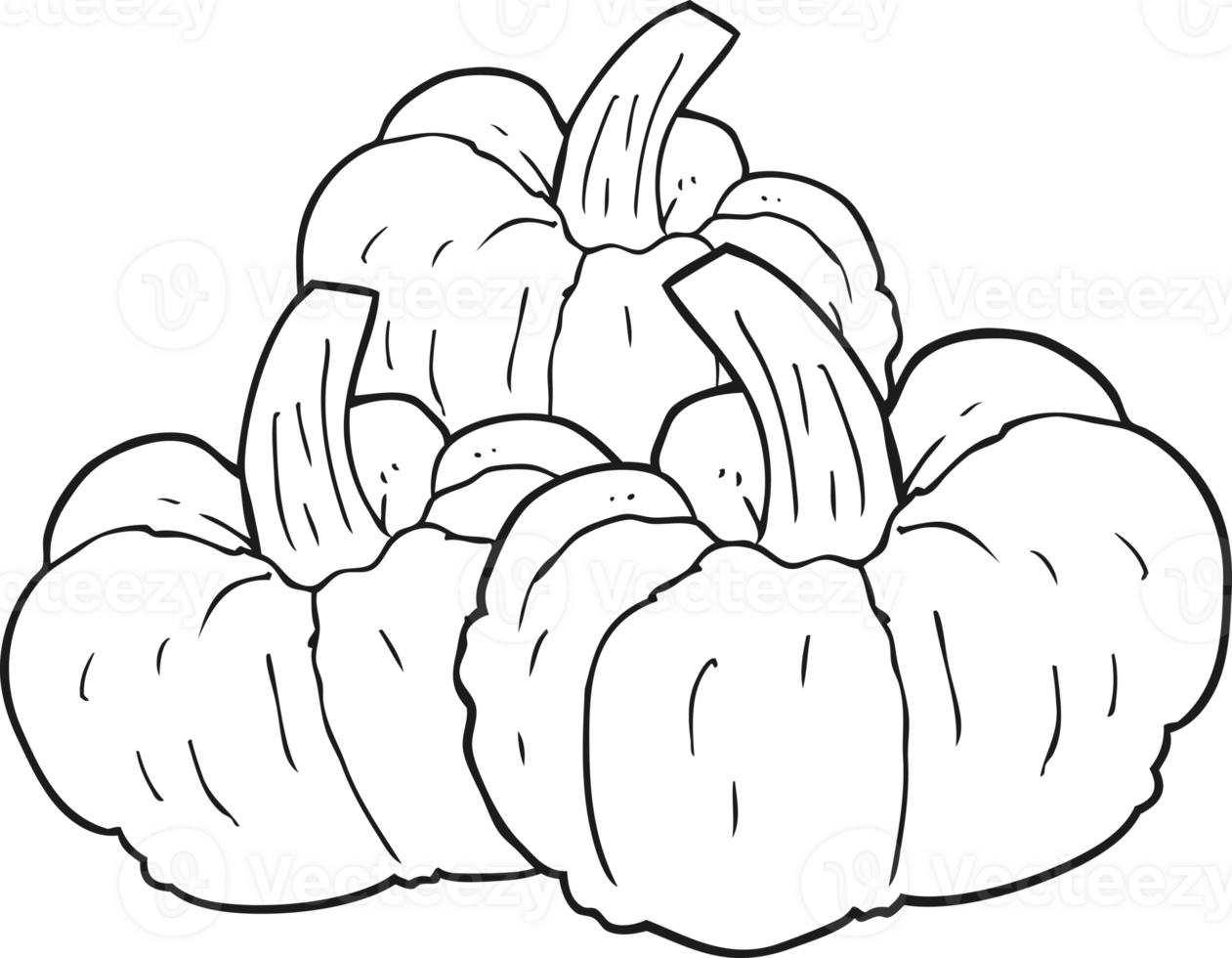 hand drawn black and white cartoon pumpkin png