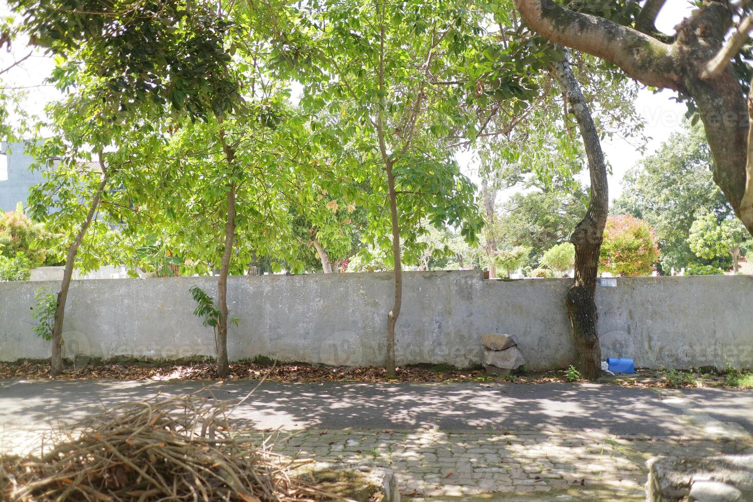 The trees are lush and green during the day. Between the wall fences photo
