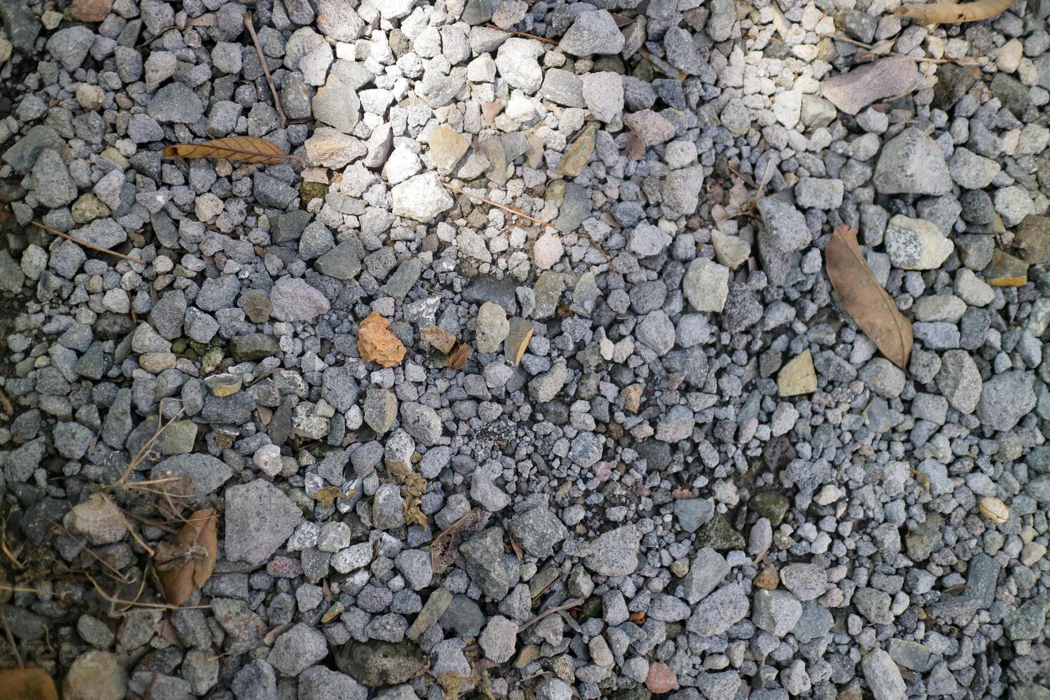 hundreds of small, brightly colored pebbles in a garden photo