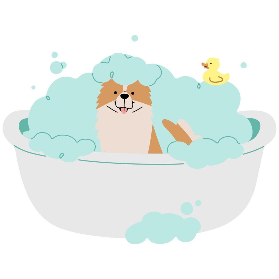 Pet Grooming Bangkaew single cute on a white background illustration. vector