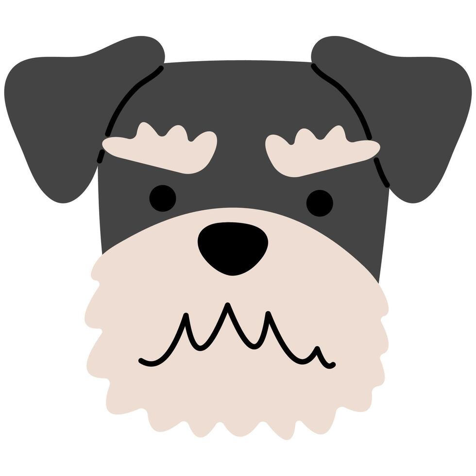 Schnauzer head cute on a white background, illustration. vector