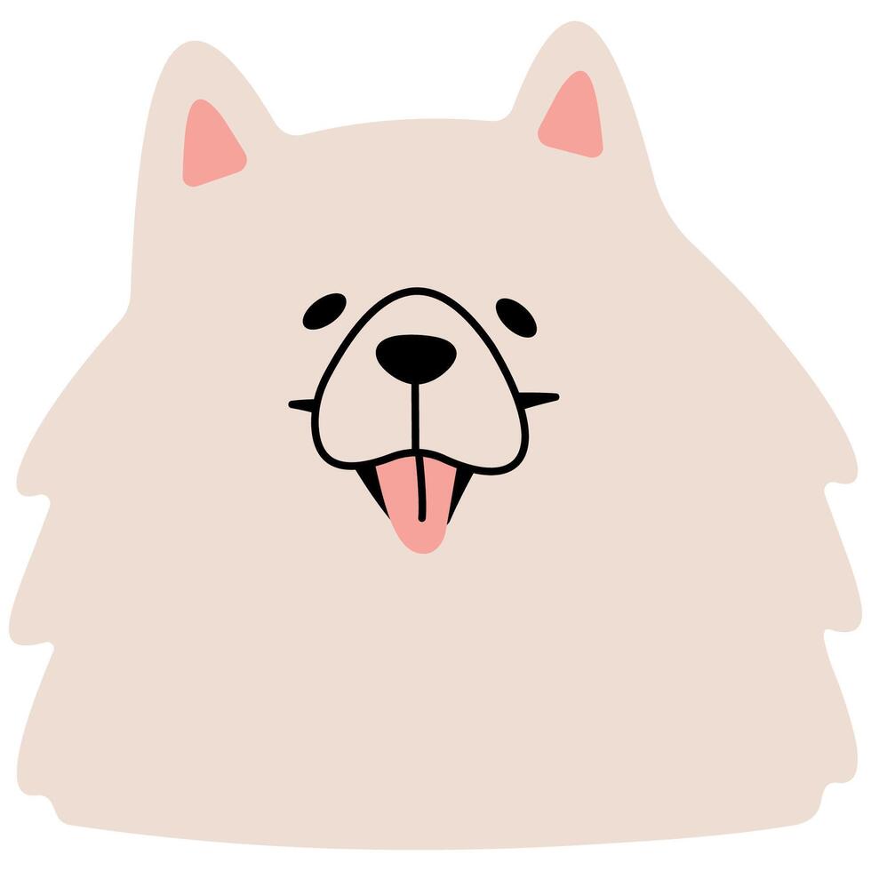 Samoyed head cute on a white background, illustration. vector