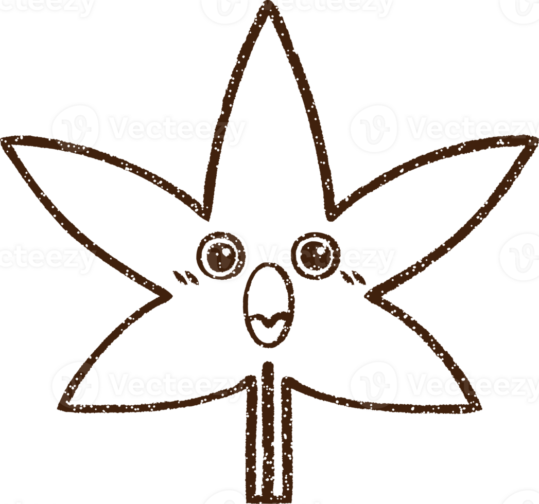 Leaf Charcoal Drawing png