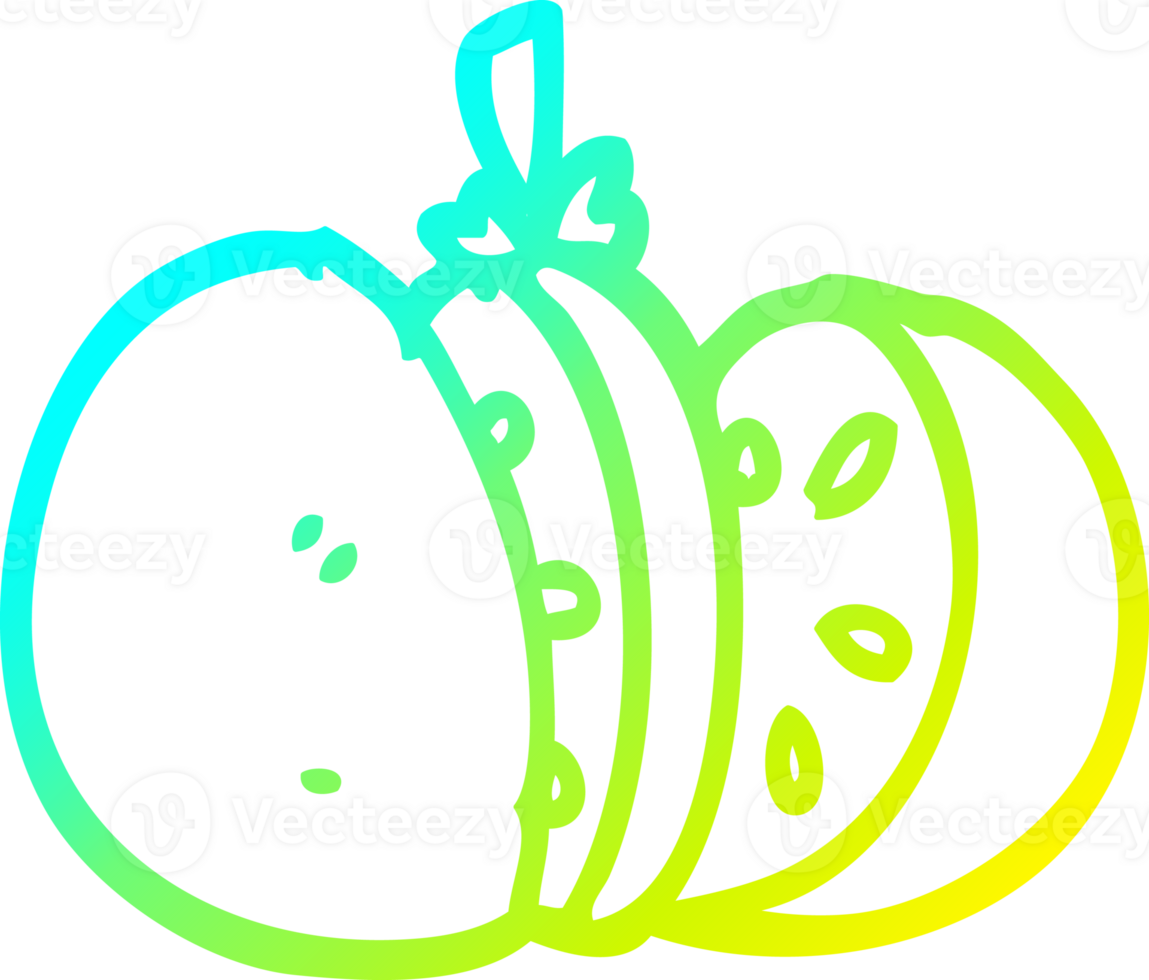 cold gradient line drawing of a cartoon cut orange png
