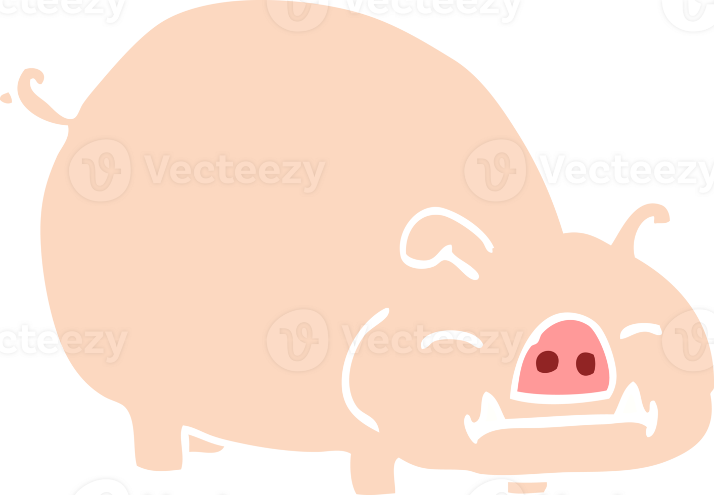 flat color illustration cartoon pig png