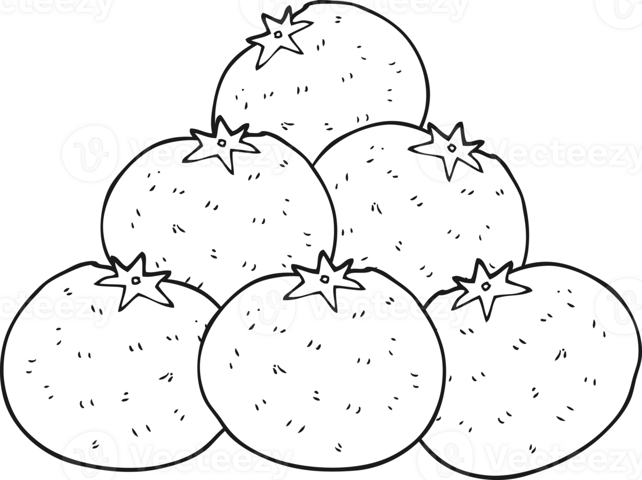 hand drawn black and white cartoon oranges png