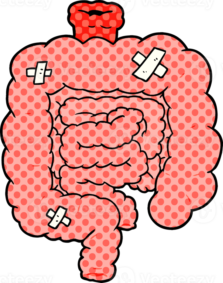 cartoon repaired intestines png