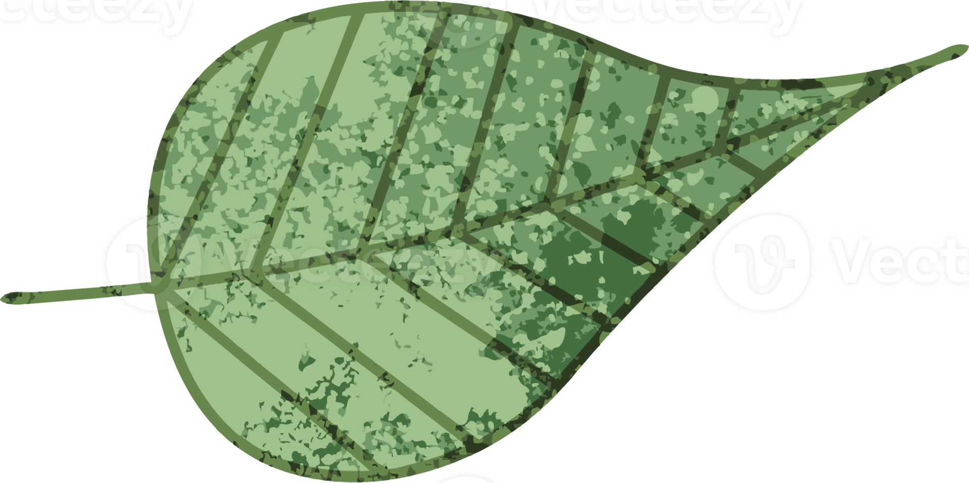 retro illustration style cartoon of a green leaf png
