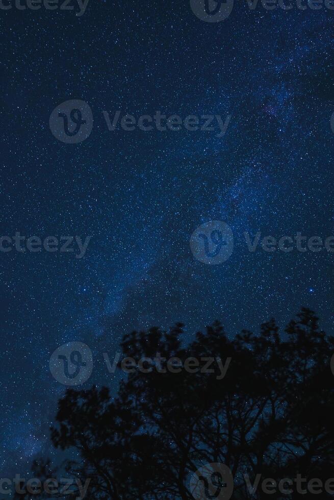 Serene night sky with Milky Way and silhouette of trees, ideal for stargazing in rural setting. photo