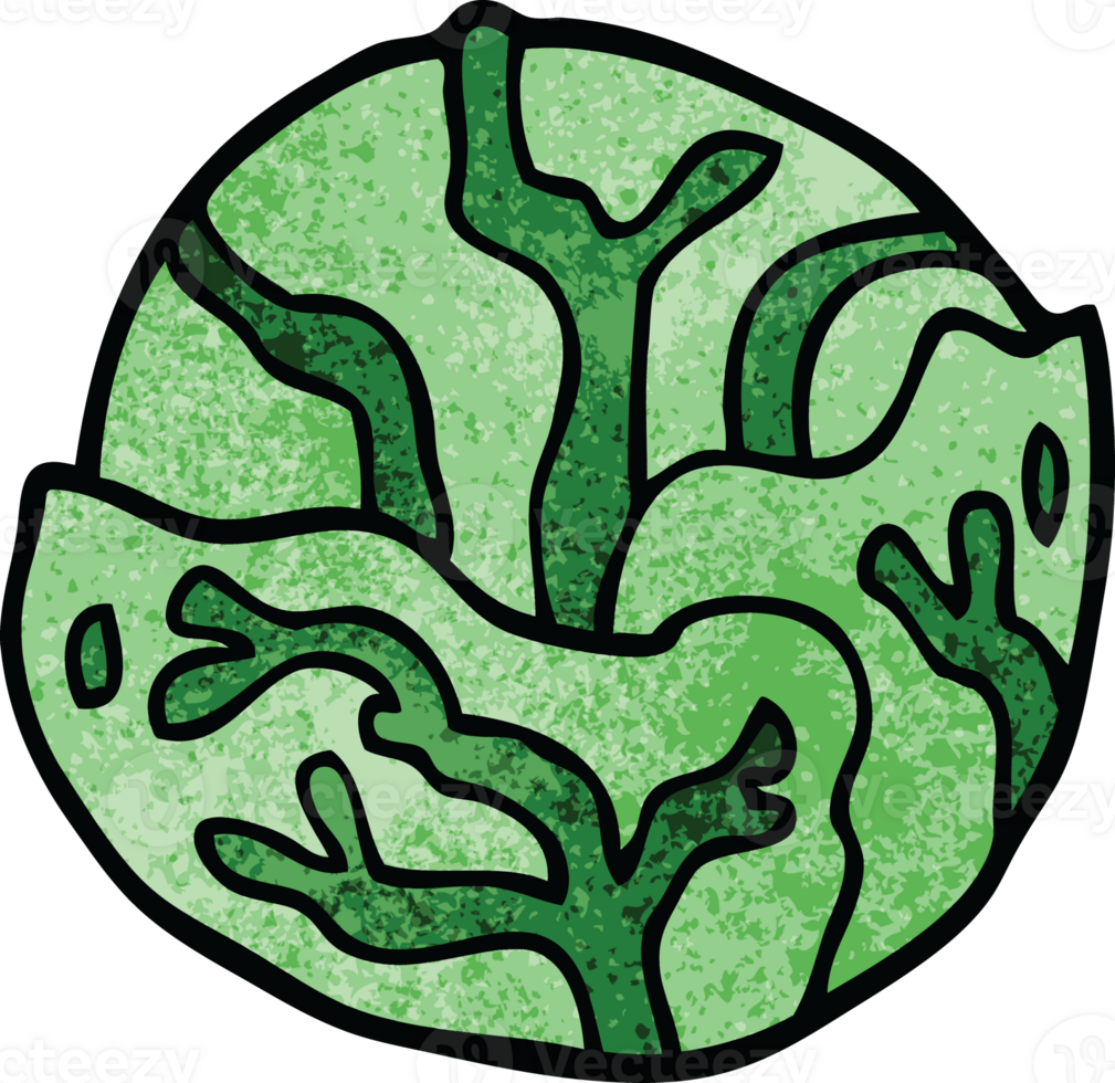 cartoon doodle cabbage png