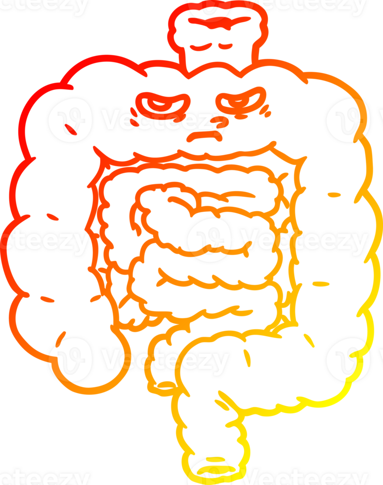warm gradient line drawing of a cartoon intestines png