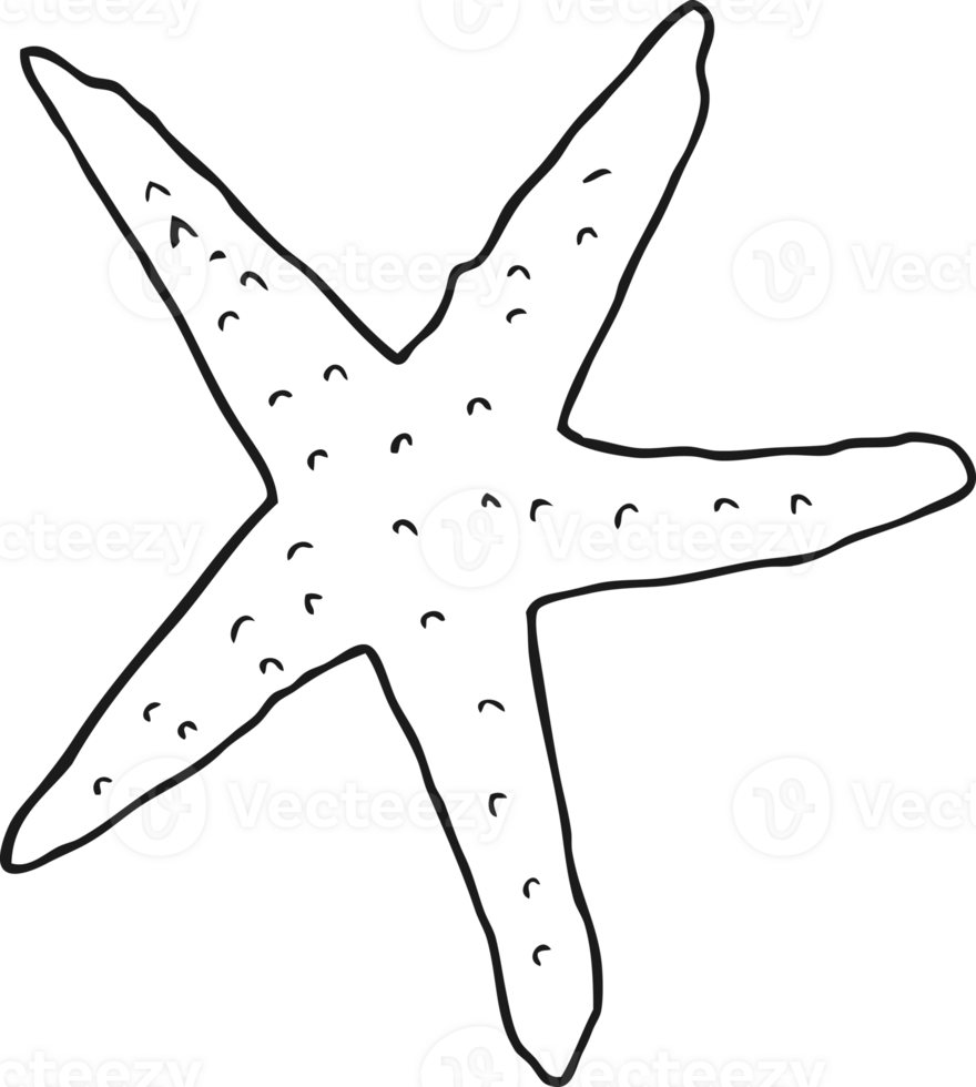 hand drawn black and white cartoon starfish png