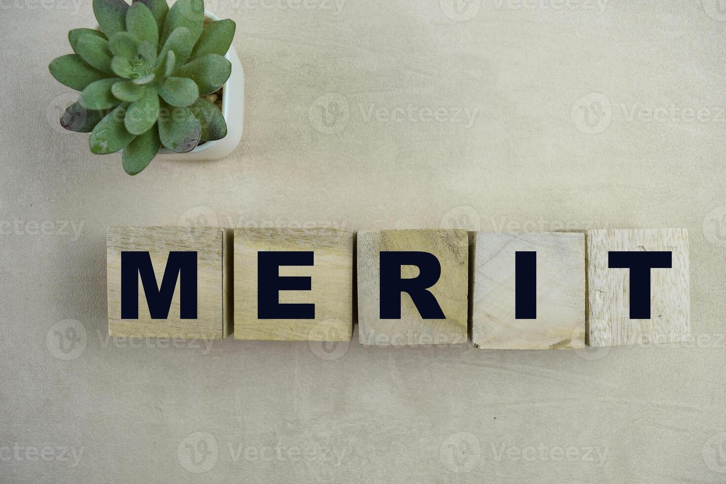 Concept of The wooden Cubes with the word MERIT on wooden background. photo
