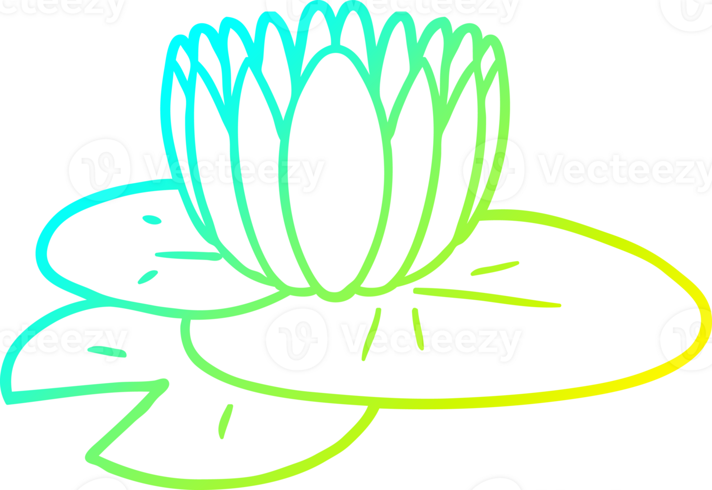 cold gradient line drawing of a cartoon water lily png