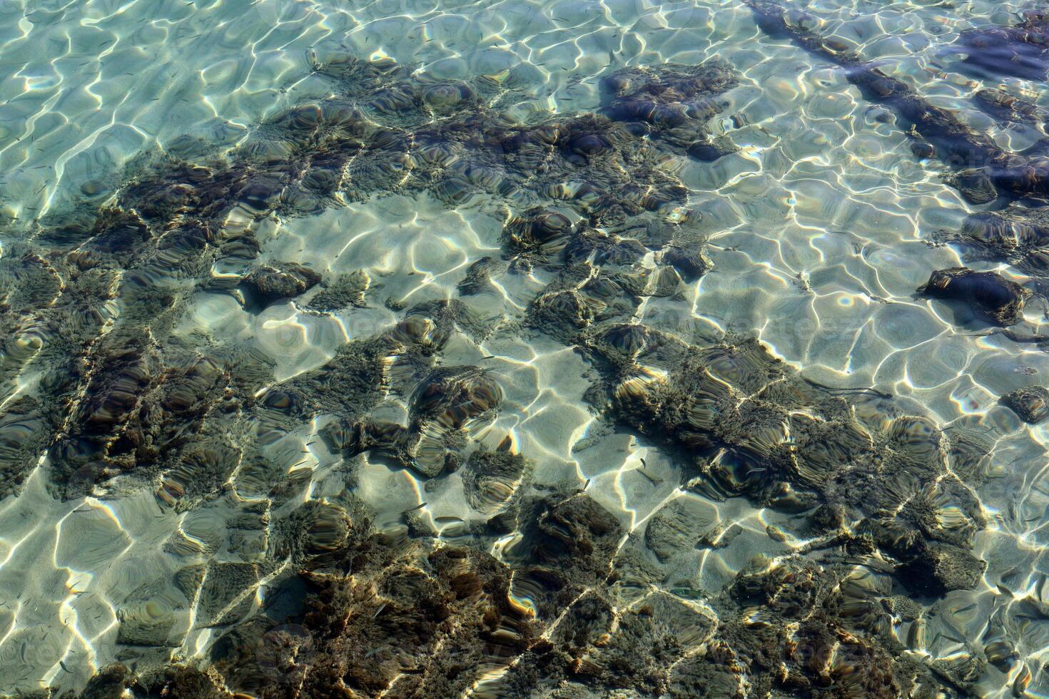 The color of water in the Mediterranean Sea in shallow water. Natural abstract background. photo