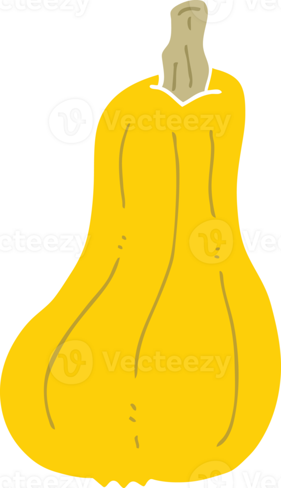 flat color style cartoon squash png