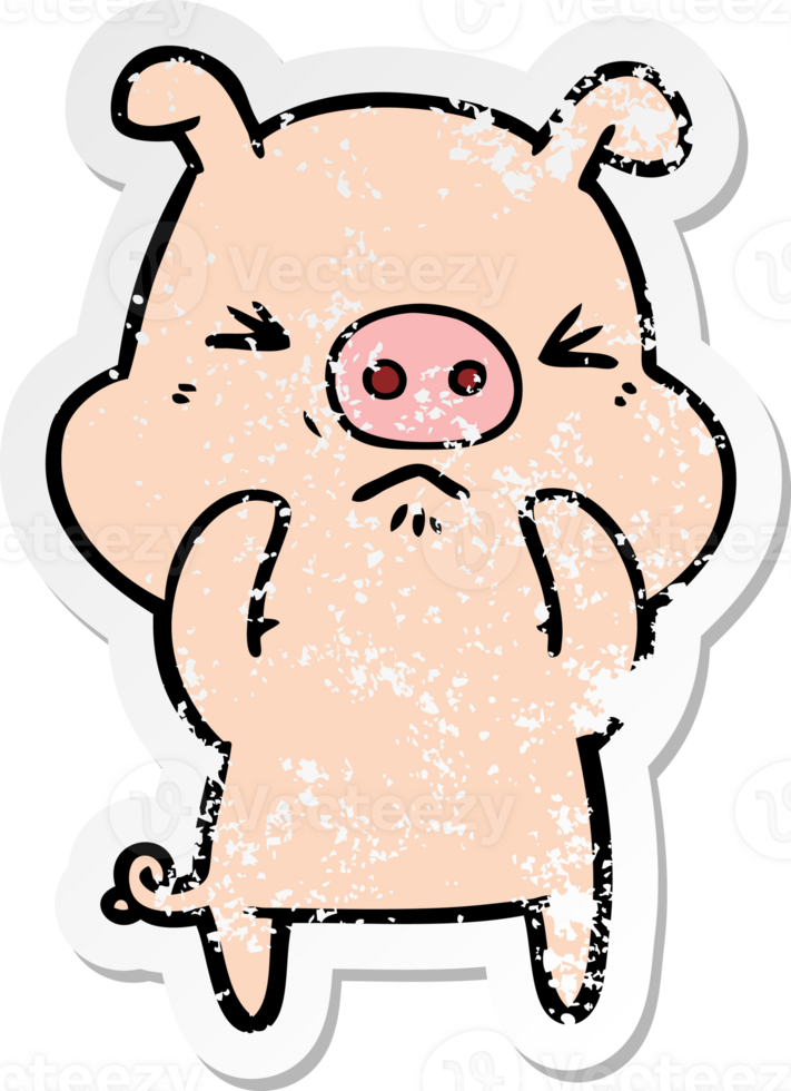 distressed sticker of a cartoon angry pig png